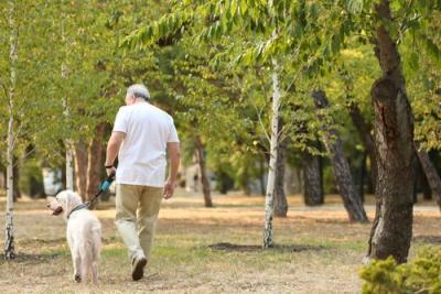 Senior-man-and-big-dog-walking-in-park